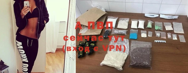 гидра Покровск