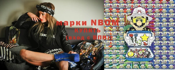 прущие грибы Покачи