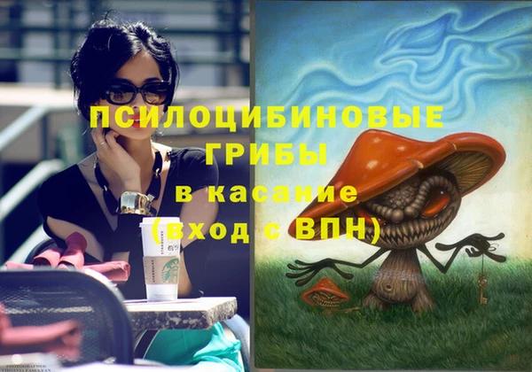 прущие грибы Покачи