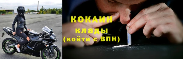прущие грибы Покачи