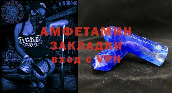 прущие грибы Покачи