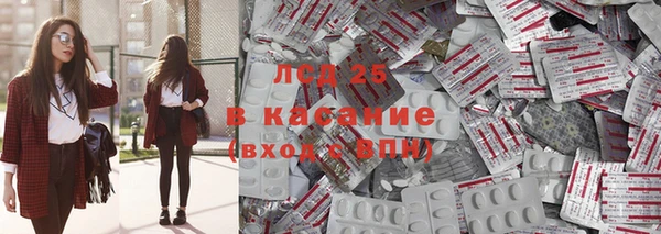 прущие грибы Покачи