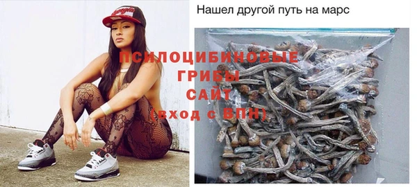 Альфа ПВП Медвежьегорск