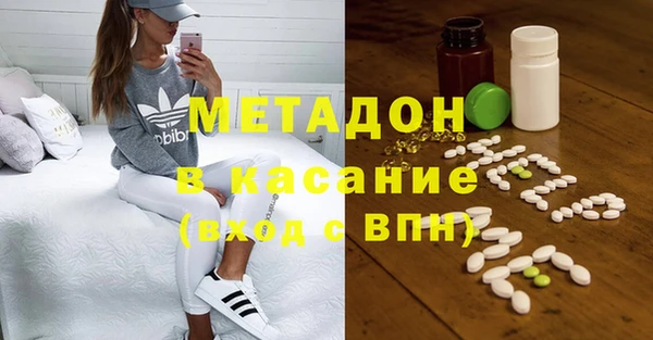 прущие грибы Покачи