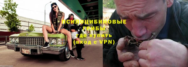 прущие грибы Покачи