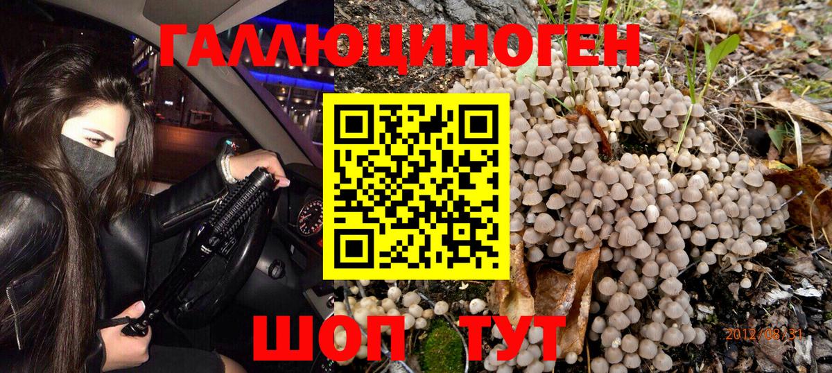 Галлюциногенные грибы мицелий  Кузнецк 