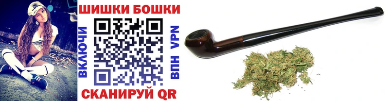 Бошки марихуана конопля  магазин продажи   Кузнецк 
