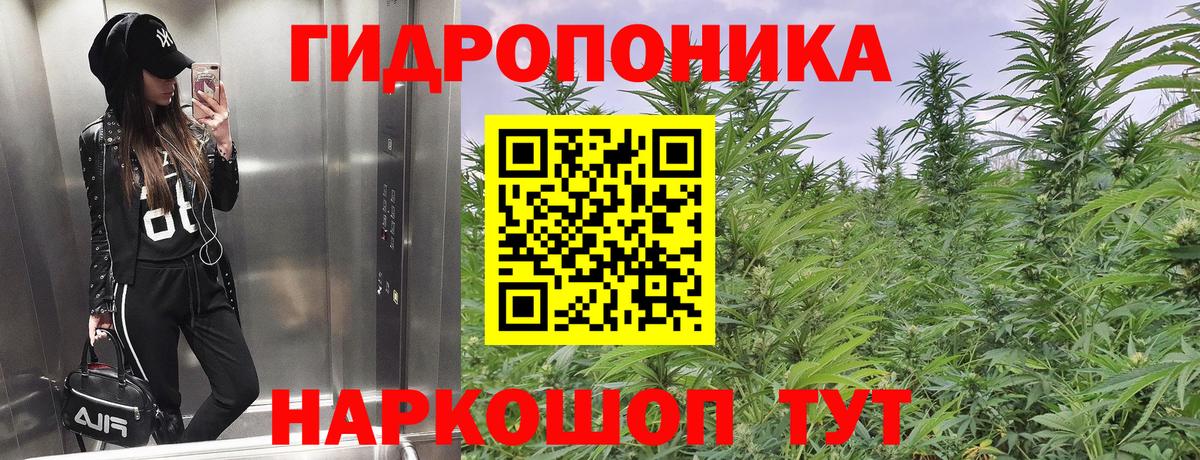 Кузнецк  Бошки марихуана марихуана  Канабис тримм  Бошки Шишки SATIVA & INDICA  Бошки Шишки гибрид  Вход с VPN 